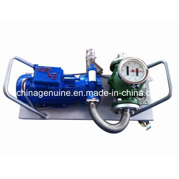 Zcheng Elektrische Transferpumpe Zcmtp-300L